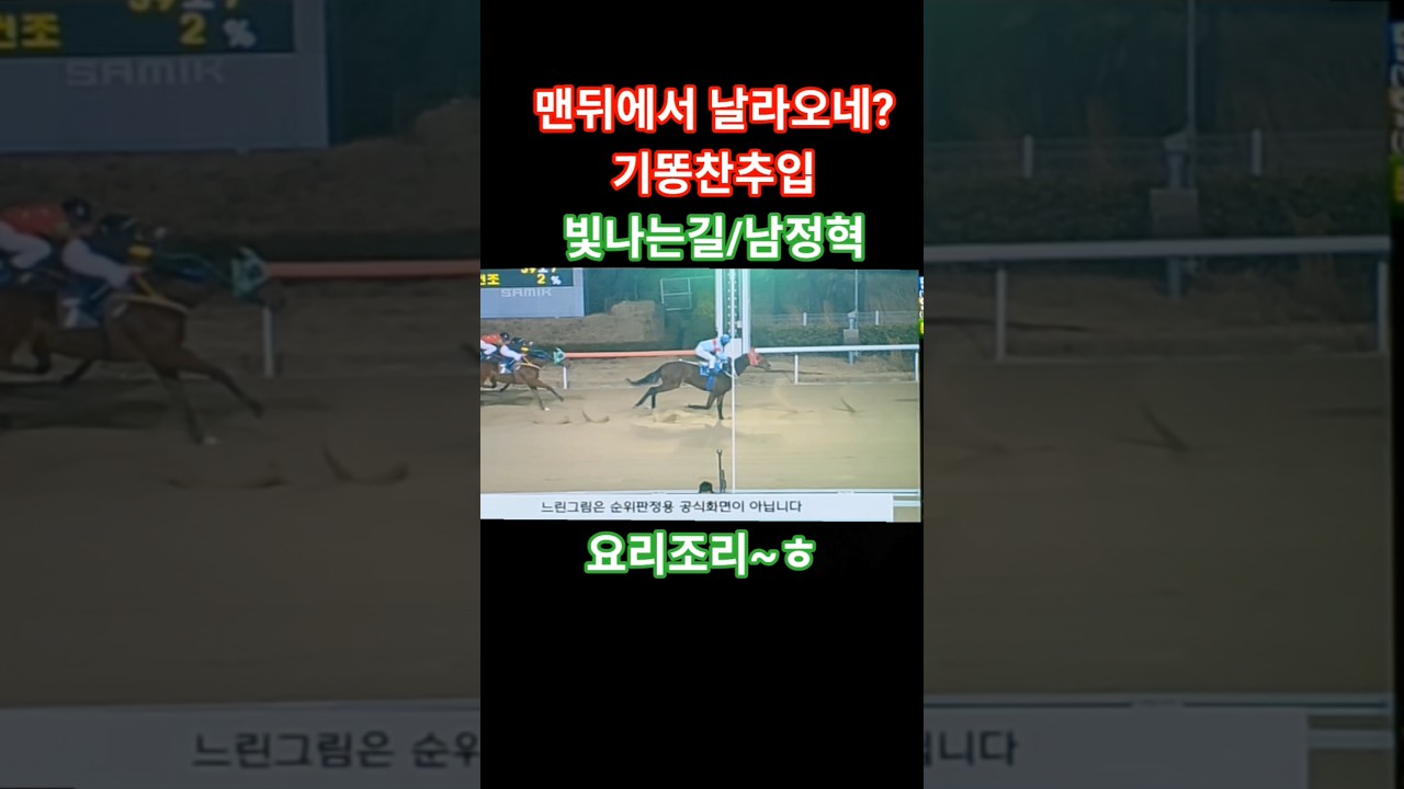 #맨뒤에서 날라옵니다#경마 #말#달려라말 #shorts #horse