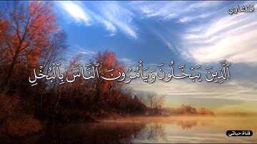 الذين يبخلون ويأمرون الناس بالبخل _تلاوة تفوق الوصف المنشاوي _راحة نفسية✨حالات واتس اب _ _  انستا ✨
