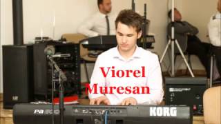 Viorel Muresan Negativ Se va auzi strigarea in curand (Irina Radis)