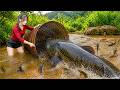 Traditional Fishing River Fish - The Girl Who Caught A Big School Of Fish.