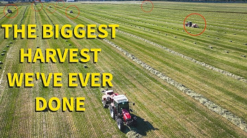 Why is Teff Hay So Difficult to Bale? 