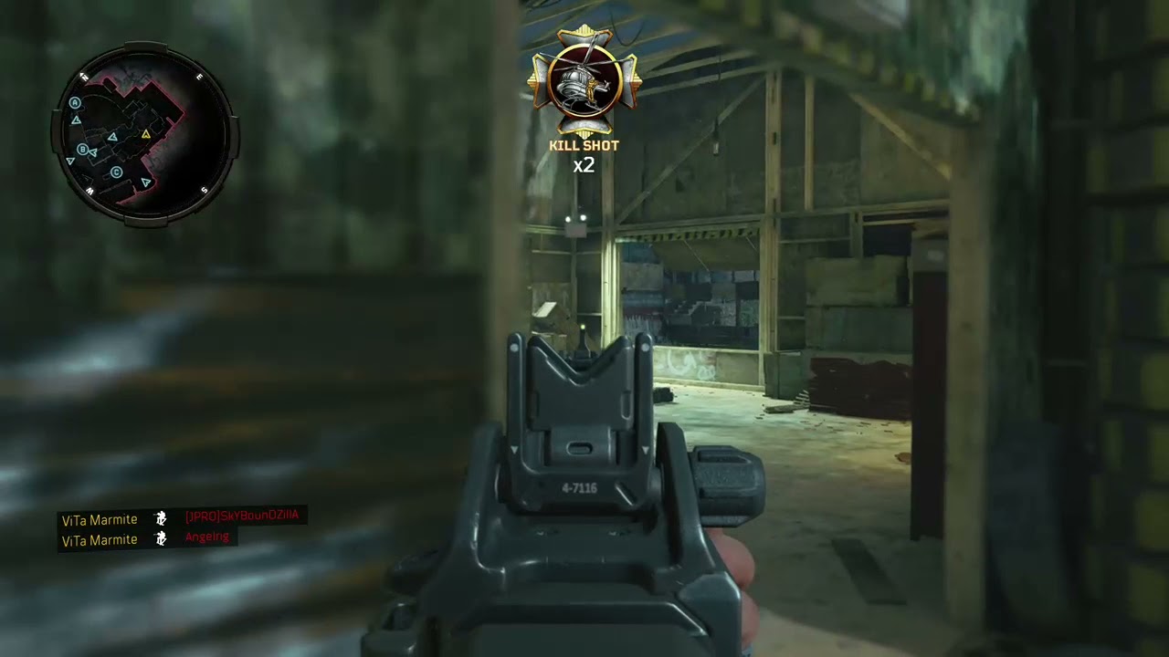 BO4 Flawless nuke.