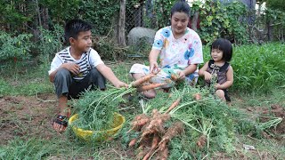 Beautiful vegetable garden of countryside family - We collect vegetable for cooking