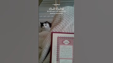 ربي يحقق لك كل أمنياتك 💗| ﴿فإذا قرأت القرآن فاستعذ بالله من الشيطان﴾ سورة النحل | ياسر الدوسري