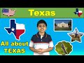 Texas: A Journey Through Its Cities, History, and Culture