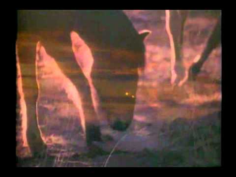 Jim Morrison: Ló-délkörök (Horses Latitudes)