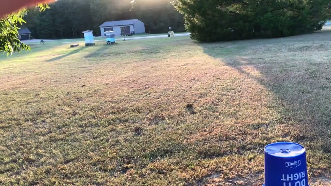 COMMUNITY WATER for the apiary.  Thank you Ian!