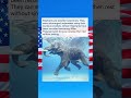 The Ocean Giants: Elephants' Amazing Swimming Ability
