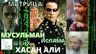 Матрица ислама шейх Хасан Али