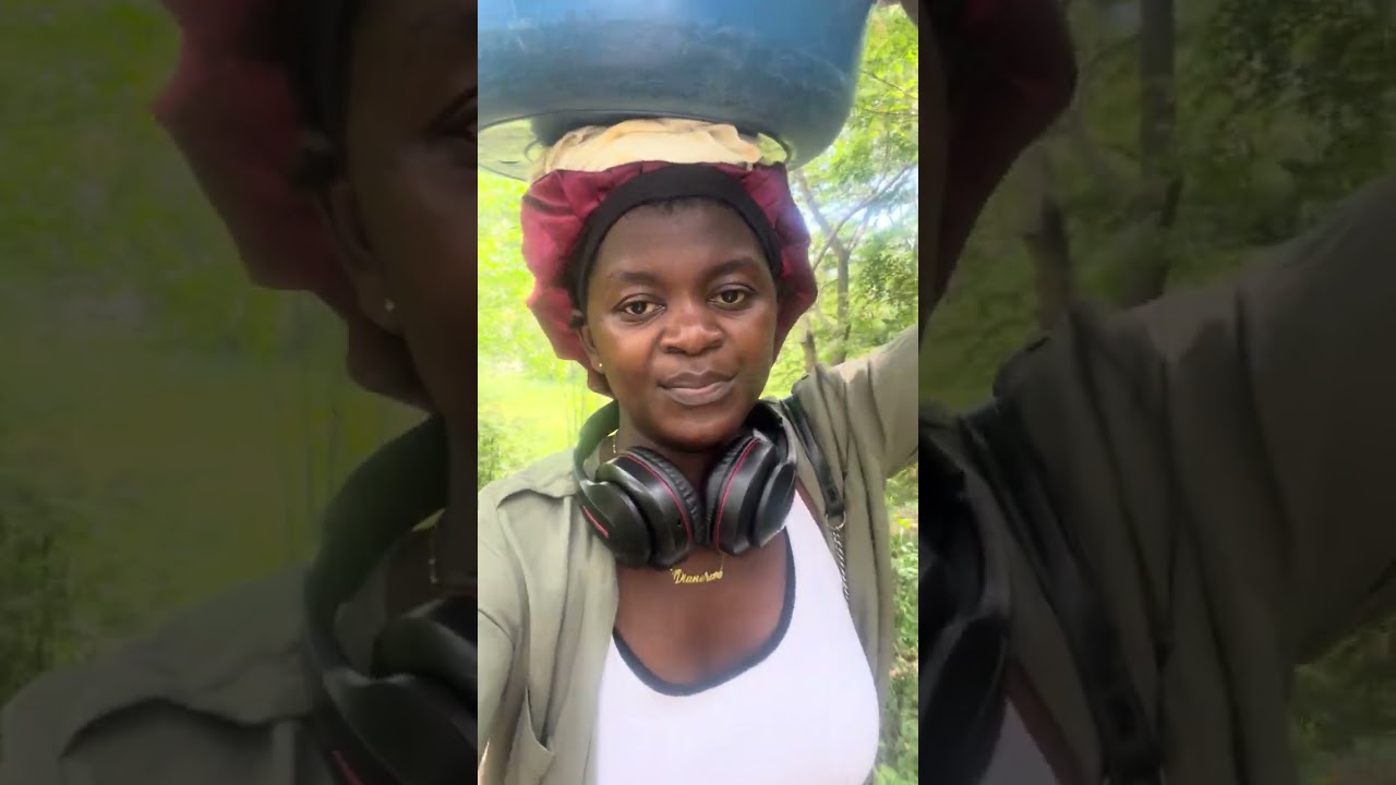 11 de fevereiro de 2026