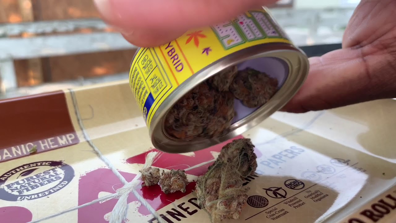 GUSHERS By LA PAC BOYS OFFICIAL REVIEW