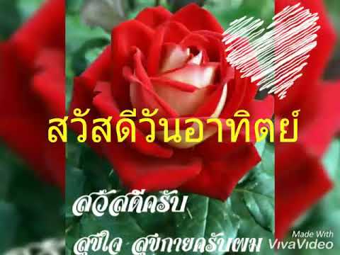 ครึ่งหนึ่งของชีวิต "แอม เสาวลักษณ์"  (สวัสดีวันอาทิตย์ครับ)