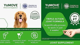 YuMOVE: We're Obsessed with Dogs | :30s Joint Supplement Commercial