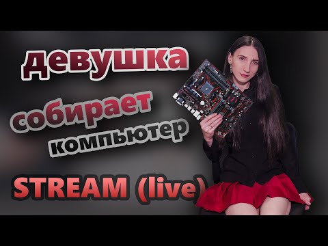 Видео: Никуня собирает комп | Misty Owl and Dr.Sly