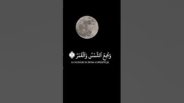 سورة القيامة، الآيات ٧-١٢ Сура: 75 «Аль-Кийама» Аяты: 7-12!