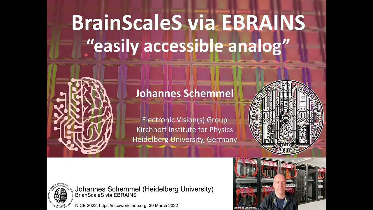 BrainScaleS via EBRAINS: easily accesible analog | Johannes Schemmel | 2022