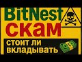 bitnest скам известна точная дата когда остановят выплаты. битнест отзывы. bitnest loop презентация.