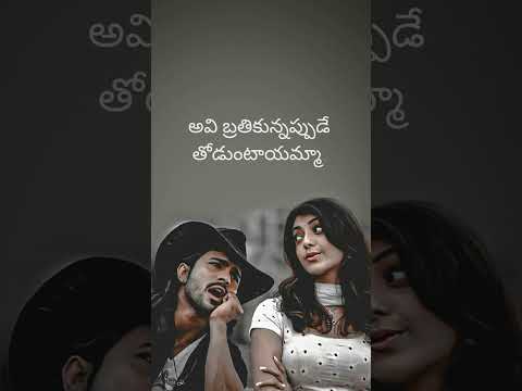 panchadara bomma song