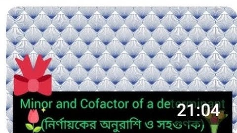 নির্ণায়কের অনুরাশি ও সহগুণক