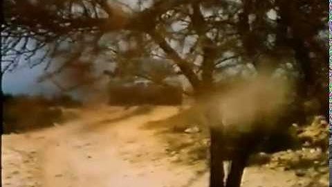 Rover Group - Corporate Video 1995