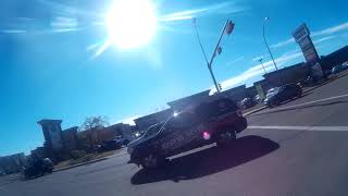 Special Karen Bps K-9 Security Cant Drive