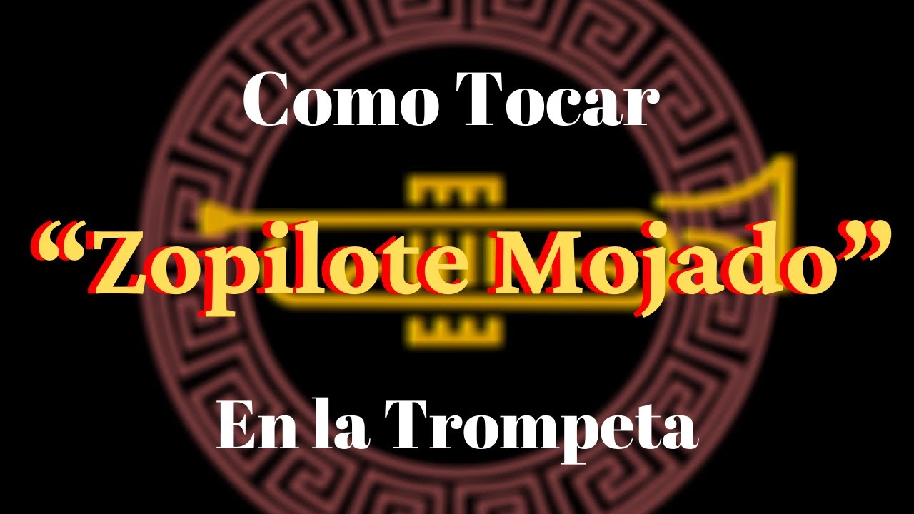 Como tocar “El Zopilote Mojado” en la Trompeta