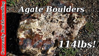 My Biggest Agate Haul Ever!