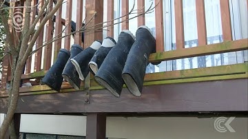 Nelson boarding hostel now a mini prison, neighbours say: RNZ Checkpoint