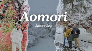 เที่ยวญี่ปุ่น Aomori ทั้งเที่ยวทั้งใช้ชีวิตกับหลาน เดือนพฤศจิกายน 2023 หิมะตก สวยมาก