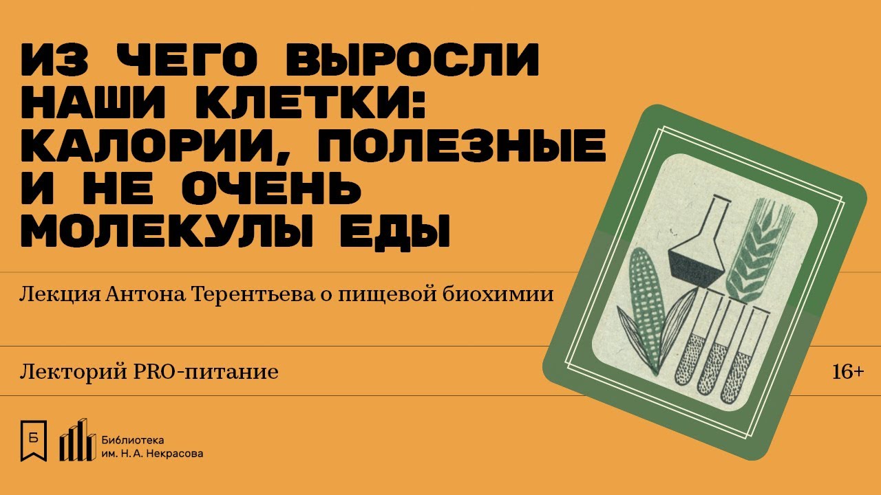 «Из чего выросли наши клетки: калории, полезные и не очень молекулы еды». Лекция Антона Терентьева