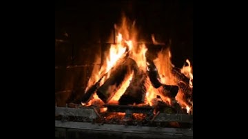 القرآن الكريم |آيات قصيرة