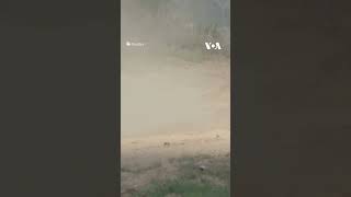 Israeli Attack Helicopter Fires Over Israel’s Border With Gaza  | Voa News #Shorts