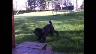 Wayne And Gus 032712A