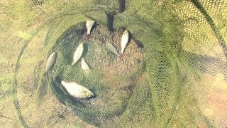 секреты рыбалки отчет с НЕудачно приятной рыбалки our fishing