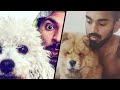 Indian Cricketers and their Dogs