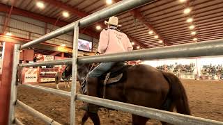 Cattle Roper And Johnny Get It Done And Get It Delivered At The Rodeo
