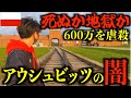 【後編】ガス室公開。暇つぶしで処刑するナチスの看守。アウシュビッツ・ビルケナウ強制収容所