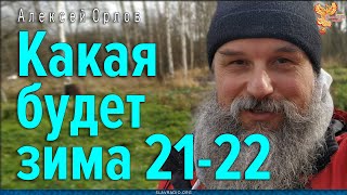 Какая будет зима 2021-2022 года. Проверяем народную примету. Алексей Орлов