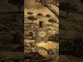 DHOFAR - ظفار (50ml)