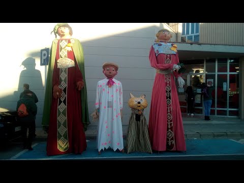 Vídeo: Al Costat Dels Gegants