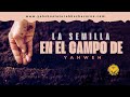  la semilla en el campo de yahweh  yahshua la torah hecha carne