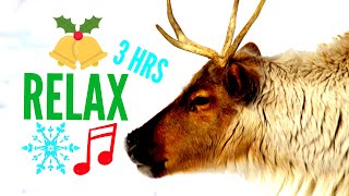 Winters Life | Relaxing Music | De-stress | Long