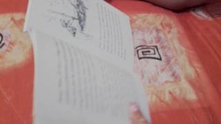 Roald Dahl „The great mouse plot” - fragment