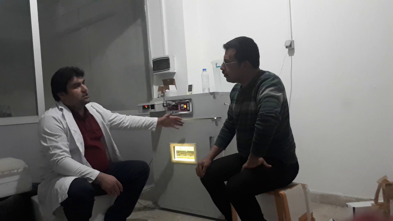 KAZ YUMURTASI KULUÇKA MAKİNASINA NASIL KONULUR