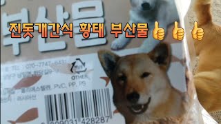 @진돗개 간식 황태부산물
