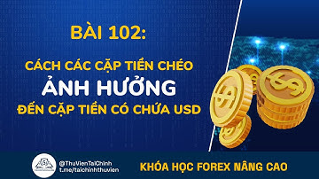 Bài 102: Cách Các Cặp Tiền Chéo Ảnh Fưởng Đến Cặp Tiền Có USD | Kiếm Tiền Forex | Học Đầu Tư Forex