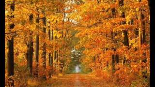 Autumn Rain / Rachel Reeves