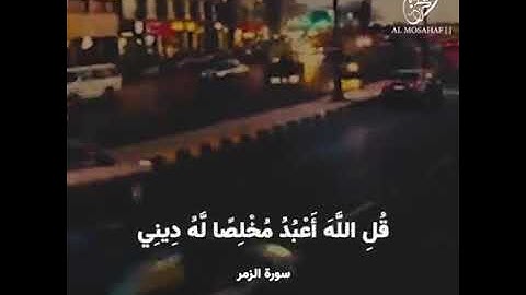 تلاوة عذبة تريح القلب