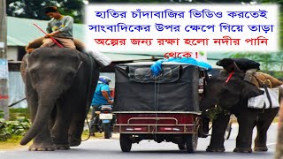 হাতির চাঁদাবাজির ভিডিও করতেই সাংবাদিকের উপর তাড়া নদীর পানি থেকে রক্ষা অল্পের জন্য!