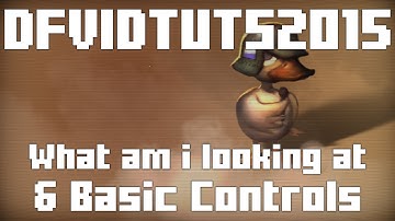 DFVIDTUTS2015 [part 04] What am I looking at & Basic Controls